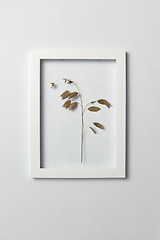 Image showing Floral frame with natural organic leaf on a light background.