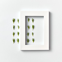 Image showing Froral composition with fresh needles and white frame on a light background.