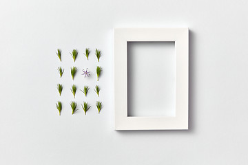 Image showing Spring plant pattern from young pine needles and empty frame on a light background.