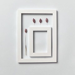 Image showing Natural composition from dry flower buds with empty frame on a light background.