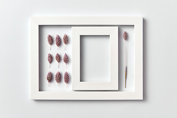 Image showing Natural composition from flower buds with empty frame on a light background.