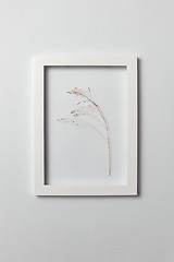 Image showing Natural organic frame with dry plant branch on a light gray background.