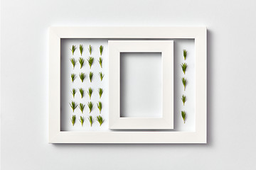 Image showing Plant picture of pine twigs needles and empty frame on a light background.