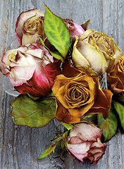 Image showing Bunch of Withered Roses