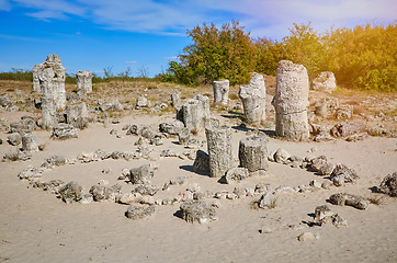 Image showing The Stone Desert