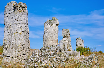 Image showing The Stone Desert