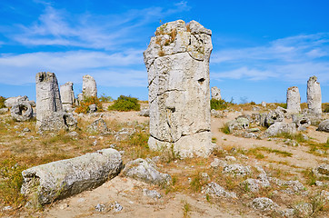 Image showing The Stone Desert