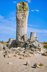 Image showing The Stone Desert