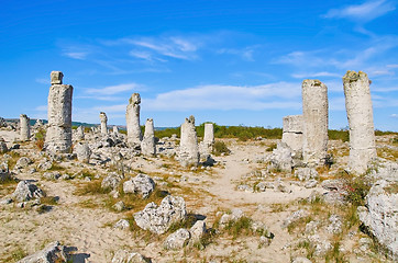 Image showing The Stone Desert