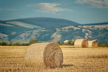 Image showing Haystacks on the Field