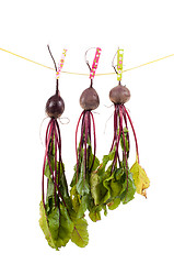 Image showing Shot of three hanging beet