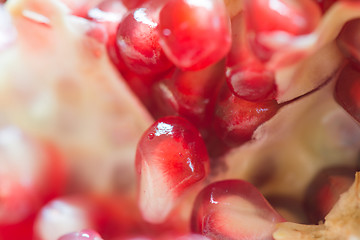 Image showing Macro shooting of pomegranate grains