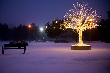 Image showing Gold lights Christmas Tree