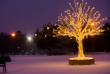 Image showing Gold lights Christmas Tree