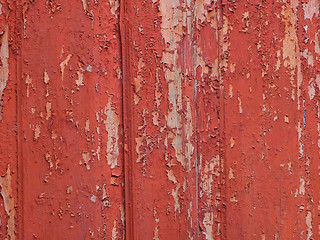 Image showing Wooden fence with shelled paint