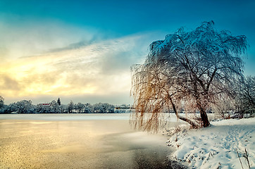 Image showing Winter landscape with hoarfrost covered tree and colorful sunset