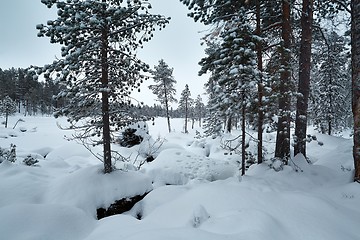 Image showing Winter Snowy Landscape