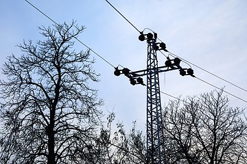 Image showing Electric line with leafless trees