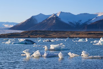 Image showing Glacial lake with icebergs