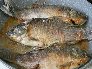 Image showing Three crucian fish are fried on a pan