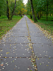 Image showing Long park alley with concrete blocks in early autumn 