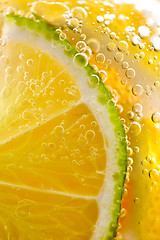 Image showing Juicy slices of ripe lemon and lime with bubbles in a glass of water. Macro photo of refreshing lemonade
