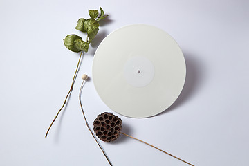 Image showing Dry branches and white vinyl audio record on a light background with copy space. Flat lay