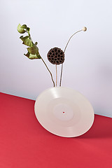 Image showing A retro vinyl record with dry branch and a bud on a double gray-red background with copy space.