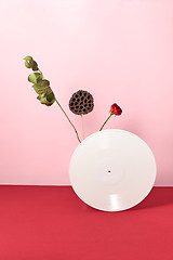 Image showing Red flower, dry branches and vinyl audio record on a duotone pink red background with copy space