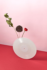 Image showing Vinyl retro record decorated with dry branches and a red flower on a duotone pink red background with copy space