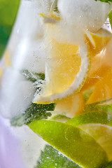 Image showing Refreshing cocktail in a glass with citrus slices and mint in a glass.