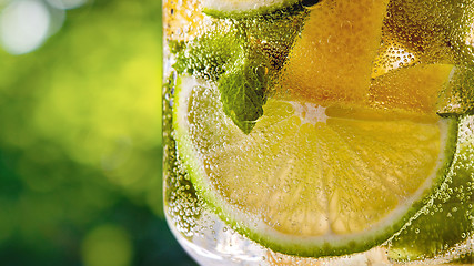 Image showing Citrus lemonade summer drink on a green leaves background. Close up.