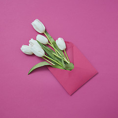 Image showing Handmade envelope with fresh white tulips on a magenta background.