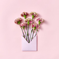 Image showing Carnation flowers in an envelope on a pastel pink background.