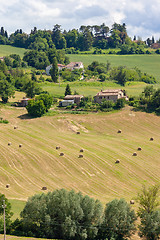 Image showing Scenery in Marche Italy with straw bales on a field 