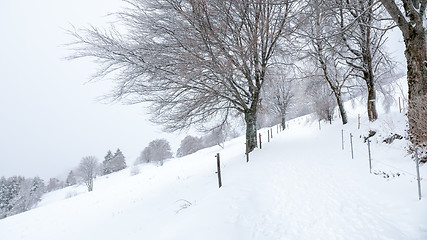 Image showing snowy winter scenery