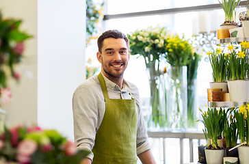 Image showing florist man or seller at flower shop counter