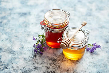 Image showing Jars with different kinds of fresh organic honey