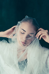 Image showing Beautiful bride looking over her veil