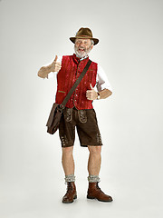 Image showing Portrait of Oktoberfest man, wearing a traditional Bavarian clothes