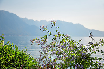 Image showing Geneva lake, Switzerland