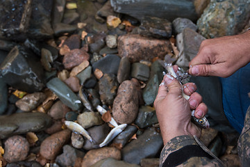 Image showing Fisherman cleaning fish