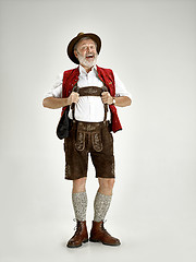 Image showing Portrait of Oktoberfest man, wearing a traditional Bavarian clothes