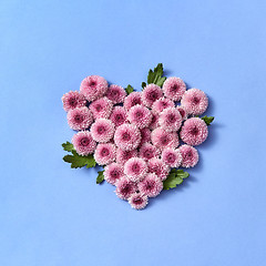 Image showing Flowering heart from chrysanthemum on a pastel background.