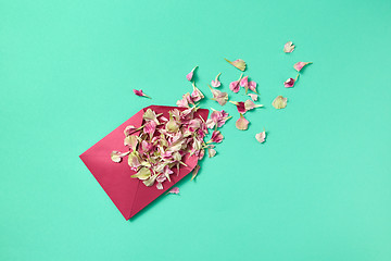 Image showing Flowers petals in purple envelope on a light turquoise background.