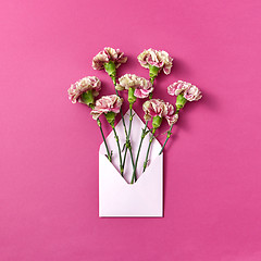 Image showing Congratulation card with carnation flowers in an envelope on a magenta background.