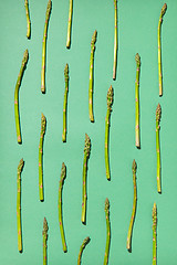 Image showing Fresh organic asparagus pattern on a pastel green background.