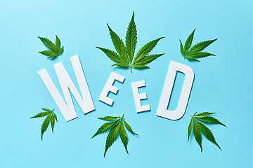 Image showing Word Weed from paper with cannabis leaves on a pastel blue background.