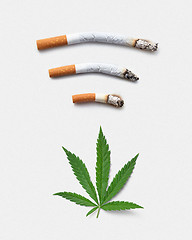 Image showing Cannabis leaf near joints