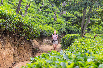 Image showing Active caucasian blonde woman enjoing fresh air and pristine nature while tracking among tea plantaitons near Ella, Sri Lanka. Bacpecking outdoors tourist adventure